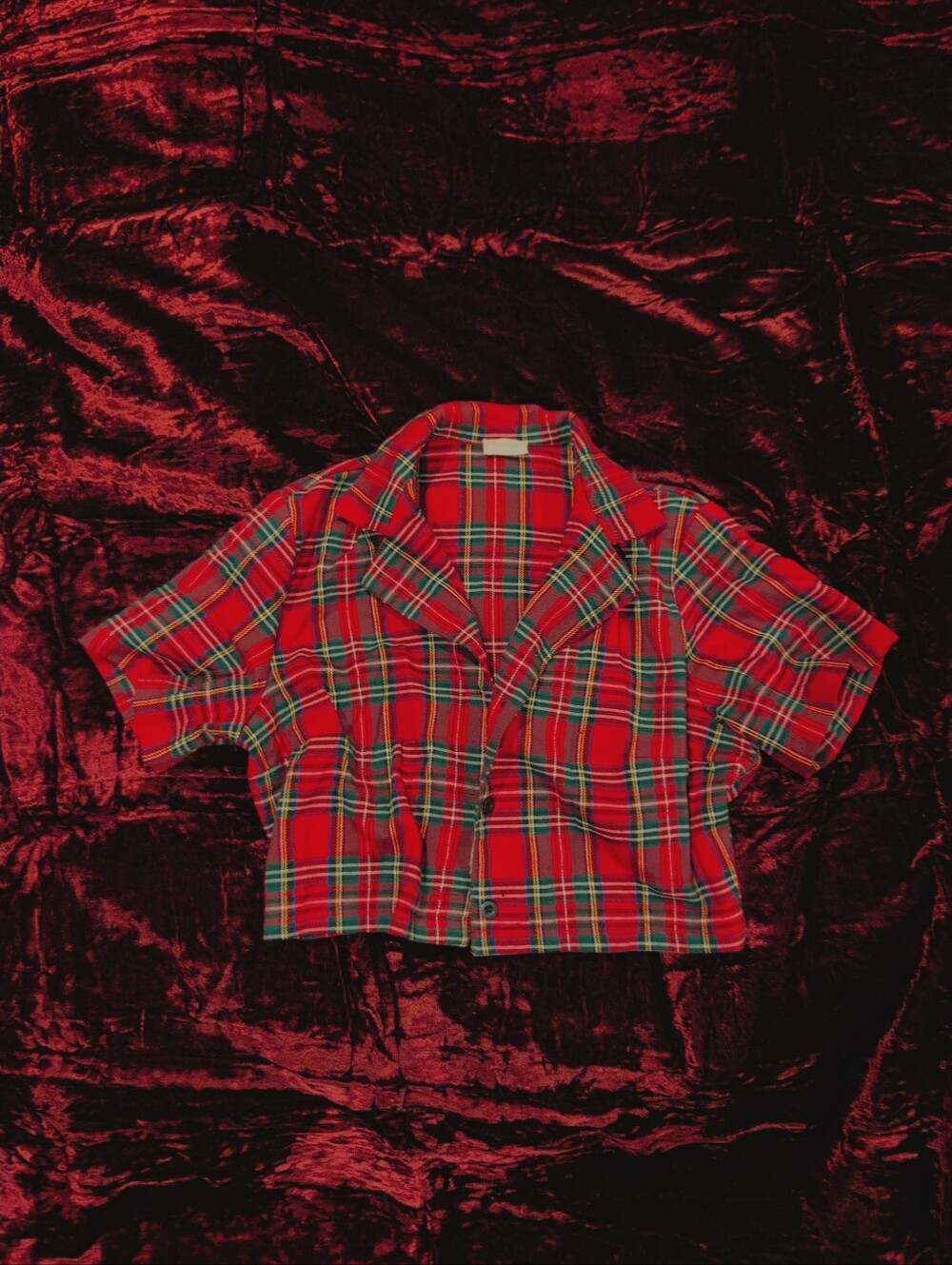 Teen Young Adult Red Plaid Brandy Melville Crop Top Buttoned Grunge Emo Vibes